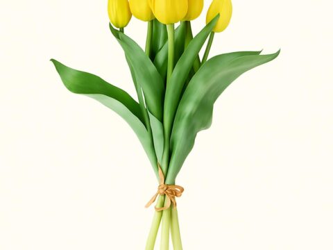Gebundener Strauß aus gelben Tulpen mit grünen Blättern vor weißem Hintergrund