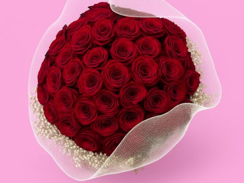 Person hält einen großen runden Strauß aus dunkelroten Rosen mit weißem Schleierkraut und heller Netzmanschette
