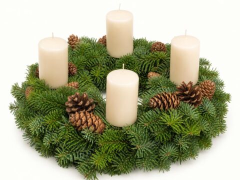 Adventkranz Natur mit Zapfen (Ø ca. 30 cm) — handgefertigt im Polisi Gartencenter Wien