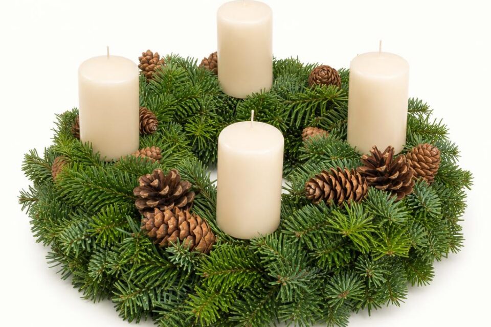 Adventkranz Natur mit Zapfen (Ø ca. 30 cm) — handgefertigt im Polisi Gartencenter Wien